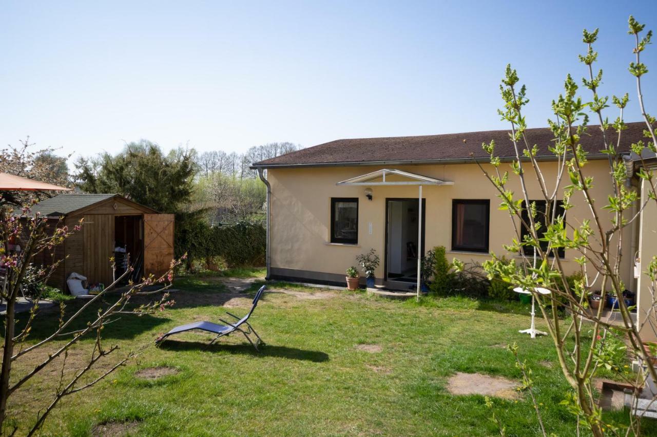 Ferienwohnung Sonnenblume Himmelpfort Pian エクステリア 写真
