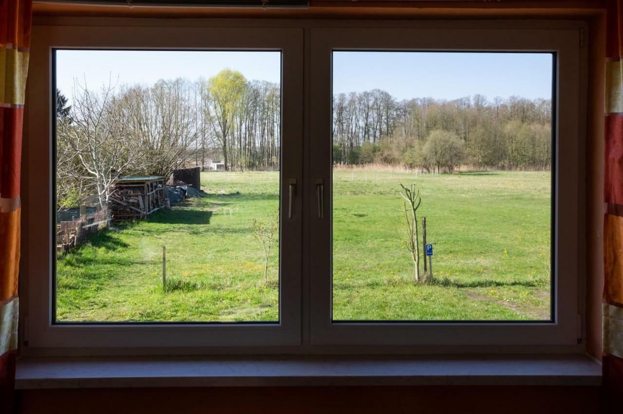 Ferienwohnung Sonnenblume Himmelpfort Pian エクステリア 写真